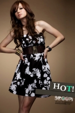 classic pattern of popular Western fashion dress Bra
